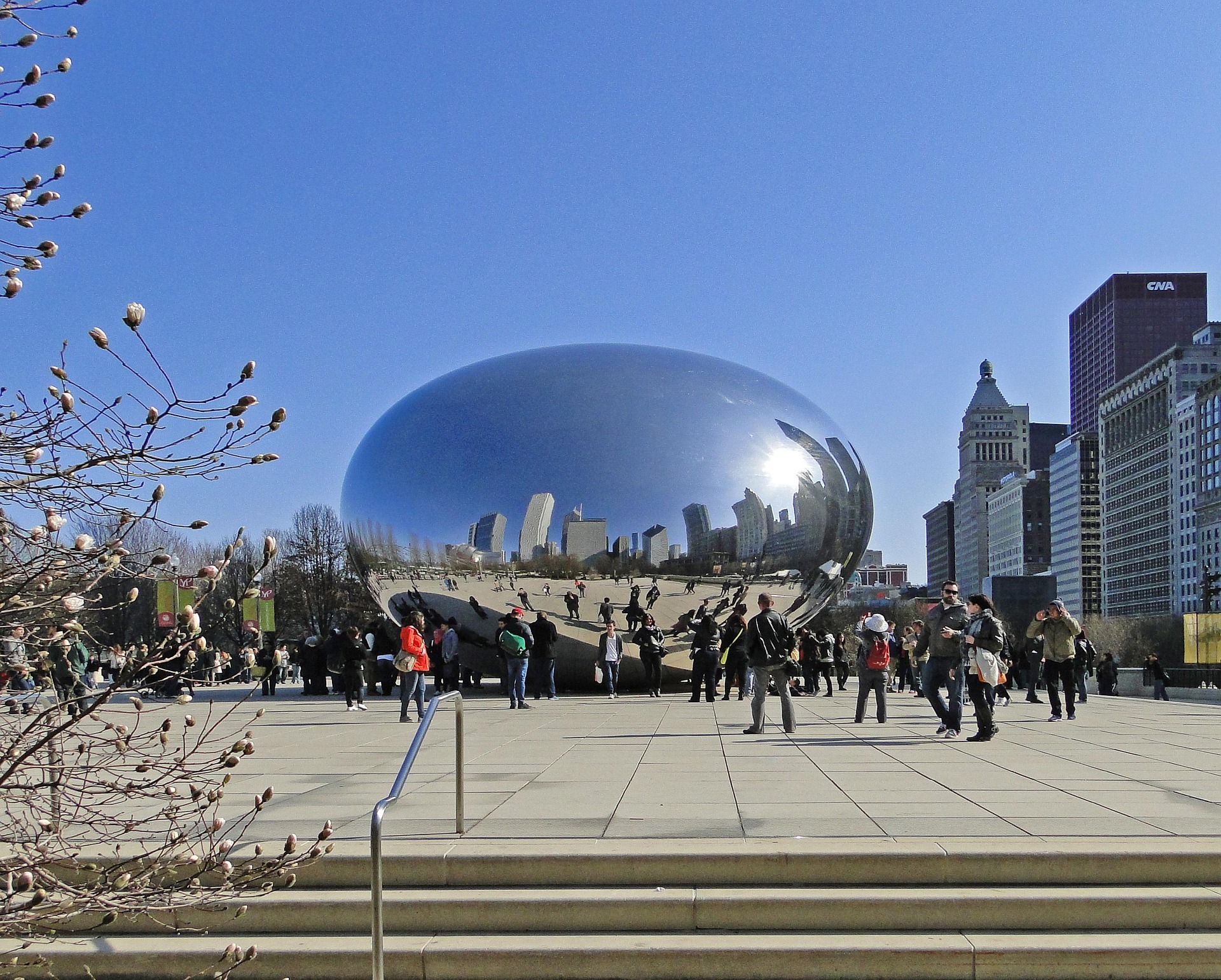 Chicago Bean 