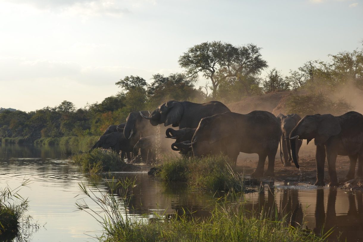 Descubre los mejores lugares de Sudáfrica en vacaciones