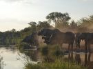 Descubre los mejores lugares de Sudáfrica en vacaciones