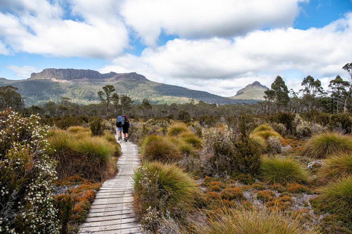 Propuestas para disfrutar en Tasmania, Australia