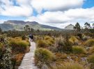 Propuestas para disfrutar en Tasmania, Australia