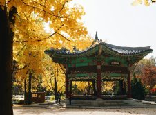 Seul Corea Pc 2