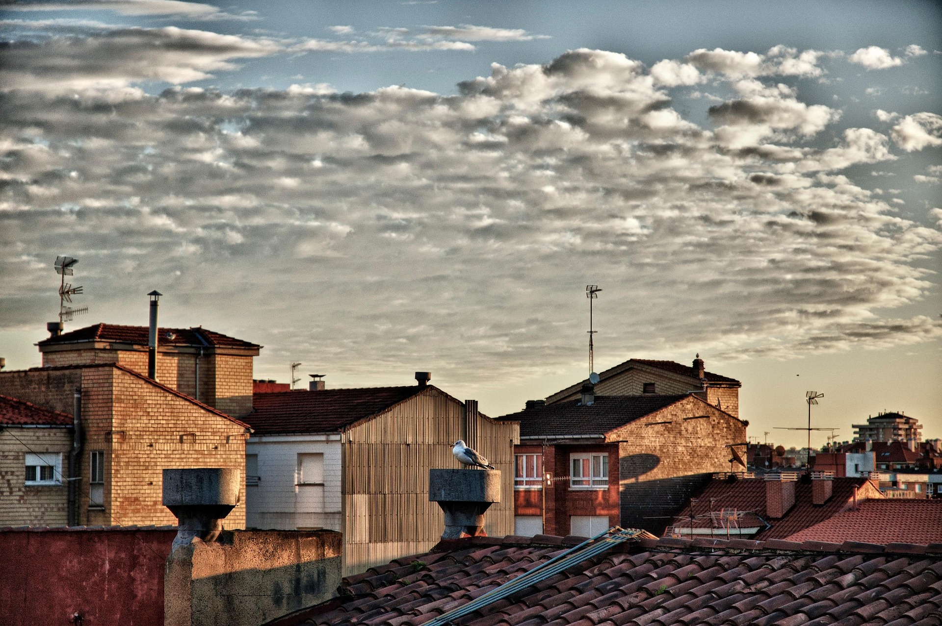 Buildings 