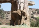 Parques Zoológicos para conocer en Estados Unidos