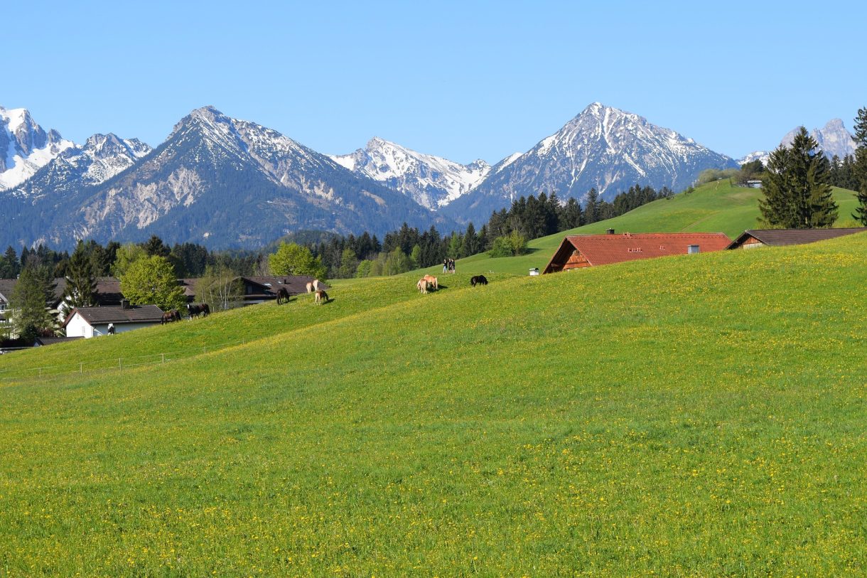 Recorrido por el sur de Alemania en primavera