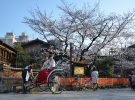 Experiencias para disfrutar en Kyoto