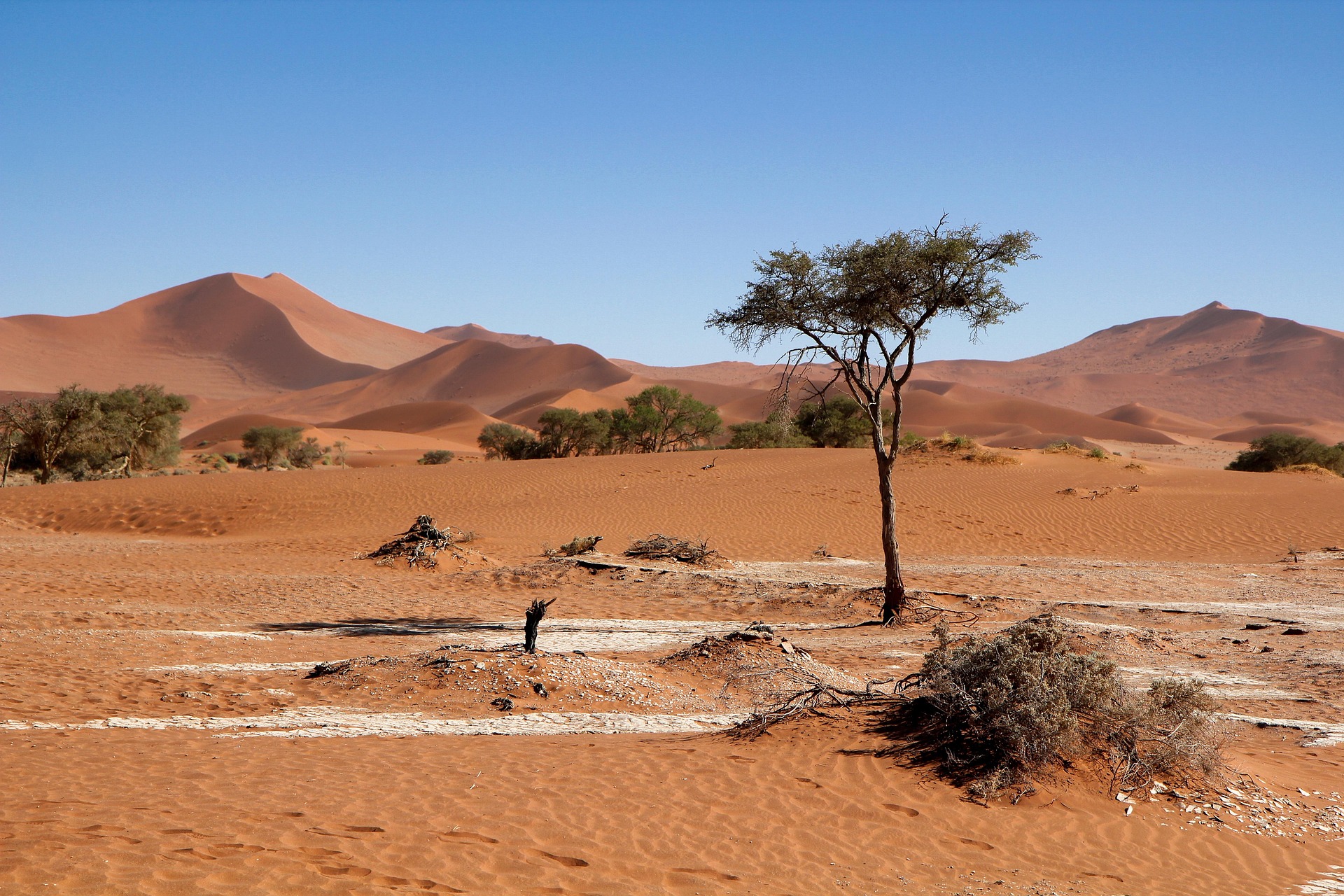 Desert 
