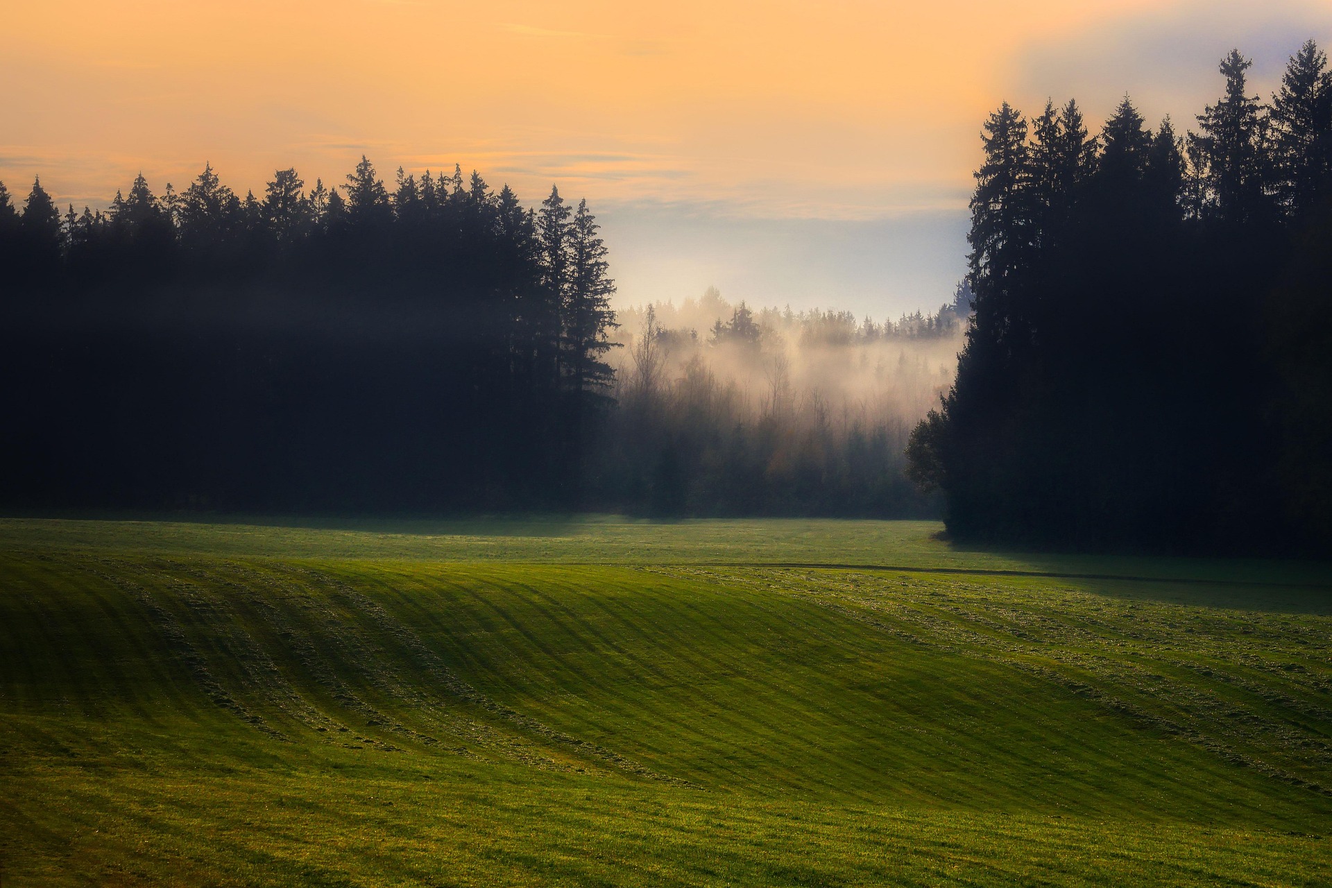 Landscape 