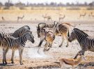 Lugares sorprendentes para conocer en Namibia