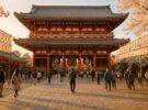 Cuándo ir a Tokio: cerezos, lluvias, tifones y precios mes a mes