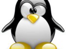 Linux Kernel 2.6.21