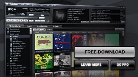 Analizando Winamp 5.5