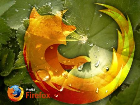 Publicado Firefox 3 Beta 3