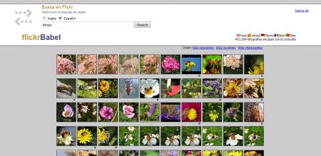 FlickrBabel, haciendo búsquedas multilingües en Flickr