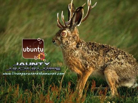 Liberada la nueva versión de Ubuntu 9.04: Jaunty Jackalope