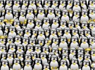 Científicos consiguen ejecutar 100 millones de Linux al mismo tiempo