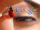 Google comparte códigos nocivos con administradores web