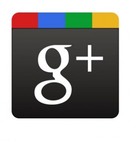 La API de Google+ puede tardar meses en llegar