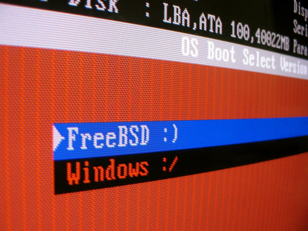 Disponible FreeBSD 9.0