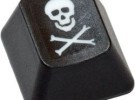 Pirate Pay rastrea y desconecta los torrents