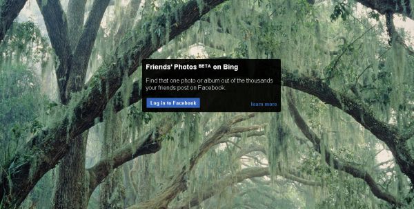 Bing ahora da la facilidad de buscar y ver fotos de Facebook