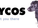 Lycos planea renovación en 2013