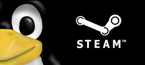 Steam comienza con buen pié en Linux y favorece al Linux SteamBox