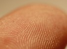 Android M tendrá autenticación por huella dactilar de manera nativa