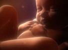 En Murcia tratarán a los bebés en el útero