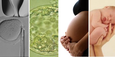 Nueva técnica de reproducción asistida que evita embarazos múltiples