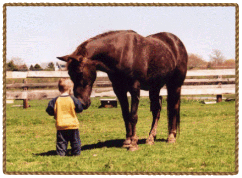 Equinoterapia: beneficios terapeúticos de los caballos