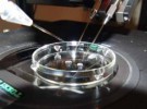 Nueva técnica de implantación de embriones in-vitro