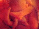 El feto de 30 semanas tiene memoria a corto plazo