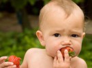 La dieta puede aumentar la inteligencia del bebé