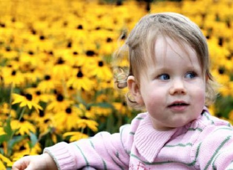 Uno de cada cuatro niños europeos, padece alergias