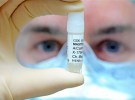 España probará en 400 niños la vacuna pediátrica de la gripe A