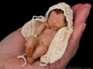 Bebés en miniatura que parecen reales