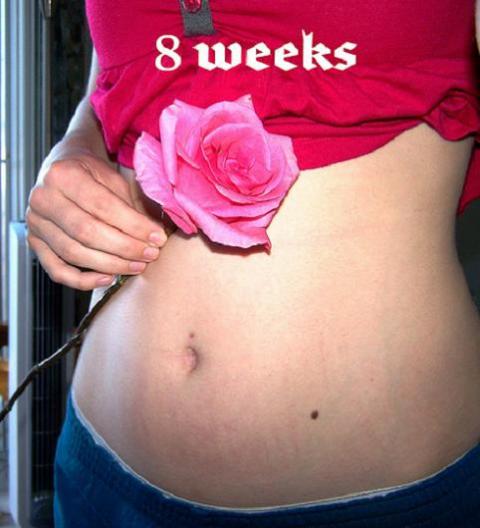 Los hábitos de la embarazada en el primer trimestre pueden afectar al feto