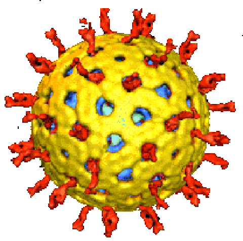 Sanidad recomienda no poner la vacuna del rotavirus