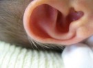 El bebé se ha introducido un objeto en la nariz u oído