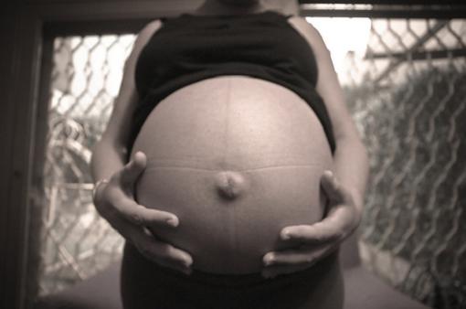 La grasa materna afecta a la fertilidad y al embrión