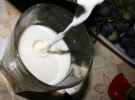 Proteínas que evitarían las alergias a la leche