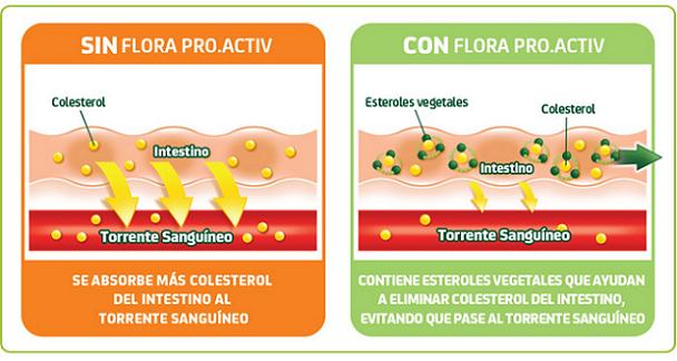 Flora Pro.activ te reta a reducir el colesterol