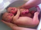 Un baño de placer para dos bebés gemelos