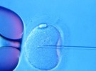 Clínica de reproducción asistida devuelve el dinero si no hay embarazo