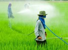 Relacionan los pesticidas con el autismo infantil