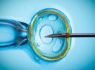 Reproducción asistida: Fecundación in vitro