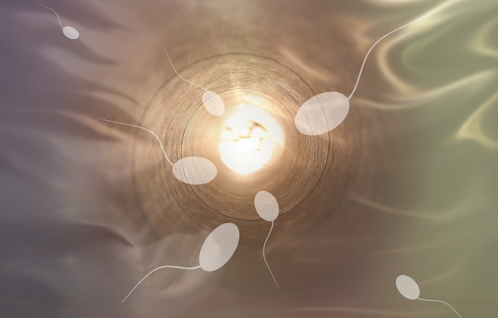 Reproducción asistida: Donantes de esperma
