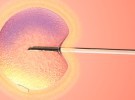 Reproducción asistida: Microinyección espermática