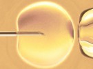 Reproducción asistida: problemas derivados de la fecundación in vitro